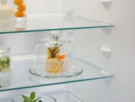 imontuojamas saldytuvas 1772 - ELECTROLUX LNA6LD18S - 5 nuotrauka
