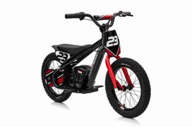elektrinis variklis - Elektrinis motociklas BAIGOR 23 PRO, Black - 8 nuotrauka
