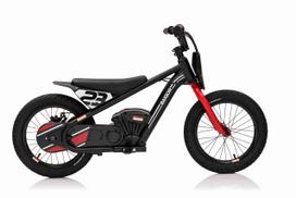 elektrinis variklis - Elektrinis motociklas BAIGOR 23 PRO, Black - 9 nuotrauka
