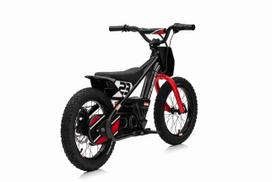 elektrinis variklis - Elektrinis motociklas BAIGOR 23 PRO, Black - 10 nuotrauka