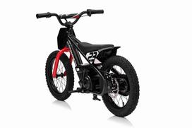 elektrinis variklis - Elektrinis motociklas BAIGOR 23 PRO, Black - 11 nuotrauka