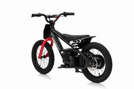 elektrinis variklis - Elektrinis motociklas BAIGOR 23 PRO, Black - 12 nuotrauka