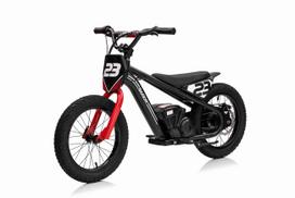 elektrinis variklis - Elektrinis motociklas BAIGOR 23 PRO, Black - 13 nuotrauka