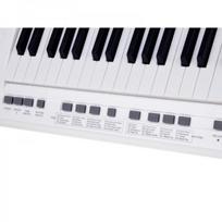 elektrinis pianinas - BigFun elektrinis pianinas su mikrofonu IN0173 - 4 nuotrauka