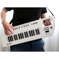elektrinis pianinas - BigFun elektrinis pianinas su mikrofonu IN0173 - 6 nuotrauka