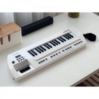 elektrinis pianinas - BigFun elektrinis pianinas su mikrofonu IN0173 - 9 nuotrauka