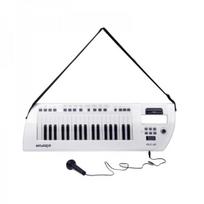 elektrinis pianinas - BigFun elektrinis pianinas su mikrofonu IN0173 - 10 nuotrauka