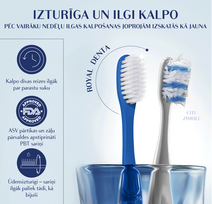 royal denta - ROYAL DENTA dantų šepetukas SILVER MEDIUM, 1 vnt. - 2 nuotrauka