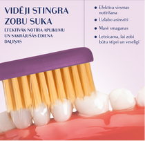 royal denta - ROYAL DENTA dantų šepetėlis GOLD MEDIUM, 1 vnt. - 4 nuotrauka