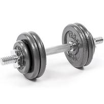 hanteliai 15 kg - ProFit Iron Dumbbell 15kg - 2 nuotrauka