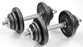 hanteliai - Profit Iron Dumbbell in Suitcase 20kg - 4 nuotrauka