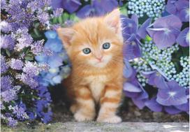 flow delione - Clementoni dėlionė „Kitten and Flowers“ 500 detalių - 3 nuotrauka
