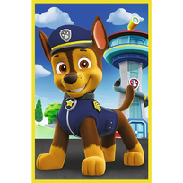 paw patrol rinkinys - Trefl Paw Patrol Our Dogs 34878, 3 x 50 det. - 2 nuotrauka