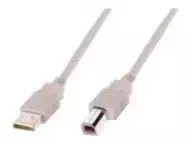 usb b laidas 3m - Assmann Cable USB/USB Beige 3m - 3 nuotrauka