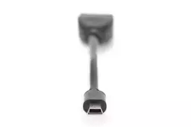 usb s adapteris - ASSMAN Adapter Cable USB / USB-mini Black 0.2m - 3 nuotrauka