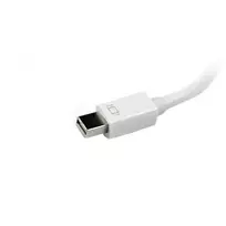 hdmi vga kabelis adapteris - StarTech Mini DisplayPort To VGA/DVI/HDMI Converter White - 5 nuotrauka