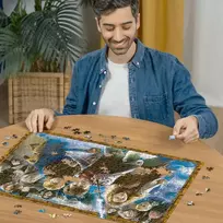 haris poteris delione - Ravensburger Dėlionė Magiškas mokinys Haris Poteris 1000 vnt. 12000463 - 4 nuotrauka