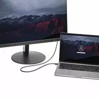 displayport kabelis 4k - „StarTech“ 1.8M USB TYPE-C PRIE EKRANASPORTO / ADAPTERIO KABELIO – USB-C Į DP 4K - 2 nuotrauka