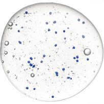 giliai valantis sampunas - Hadat Cosmetics Microcapsules atstatomasis šampūnas 800 ml - 2 nuotrauka