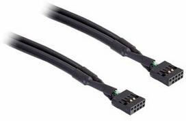 Delock Cable 10Ppin to 10pin Black 0.5m