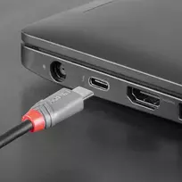 adapteriai type c - Lindy 36890 USB-C į mikroUSB 0.5m Juodas (Black) - 2 nuotrauka