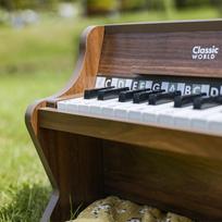 muzikiniai zaislai - Classic World medinis klasikinis pianinas su mokomąja knyga - 10 nuotrauka