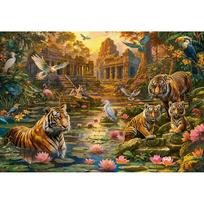 puzzle deliones 1000 - Castorland Tigers Paradise 1000 det. - 2 nuotrauka