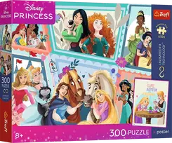 Trefl Wonderful Ball / Disney, 60 x 40 cm, 300 det.