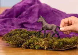 schleich horse.club - Žaislinė figūrėlė Schleich Horse Club Akhal Teke Stallion 13911 - 2 nuotrauka