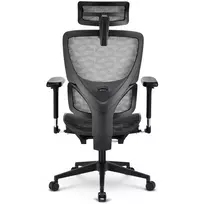 office chair - Darbo kėdė Sharkoon OfficePal C40M, 50 x 52.5 x 44 - 52 cm, pilka - 2 nuotrauka