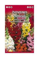 Didžiųjų žioveinių sėklų mišinys, 0,2 g