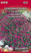 Šilinių gvazdikų sėklos, 0,2 g