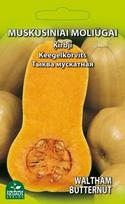 Muskusinių moliūgų WALTHAM BUTTERNUT sėklos, 2 g