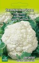 Žiedinių kopūstų ERFURTER sėklos, 1 g