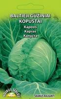Baltųjų gūžinių kopūstų BRUNSWICK sėklos, 2 g