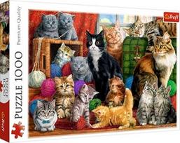 Dėlionė 1000dal. kittens, 10555t