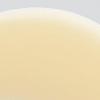 vitamino c serumas - Dermalogica BioLumin-C Serum serumas veidui  su vitaminu C - 30 ml. - 2 nuotrauka