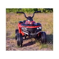 vaikiskas keturratis - Vienvietis vaikiškas elektrinis keturratis Quad Sport, baltas - 4 nuotrauka