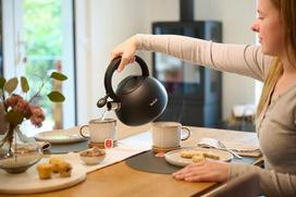juodas virdulys - TEFAL N4180410 - 2 nuotrauka