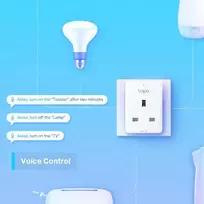 ismanus namas - Tp-Link Tapo P100 Mini - 2 nuotrauka