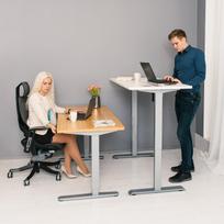 ermitazas stalai - Home4you Ergo Electric Adjustable Work/Standing Desk White/Grey - 2 nuotrauka