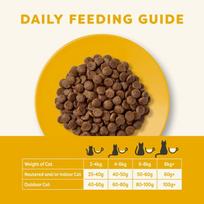 cat applaws - Sausas kačių maistas Applaws Adult, vištiena/lašiša, 0.4 kg - 2 nuotrauka