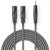 Nedis kabelis 2x XLR M - 3.5mm M 3m / COTH15310GY30