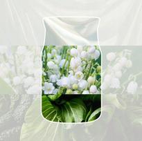 bianchi - YANKEE CANDLE - Candela profumata per Auto, fragranza Biancheria profumata - 6 nuotrauka