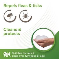 vetom 1.1 - Beaphar Bio Insect Shampoo 250ml - 2 nuotrauka