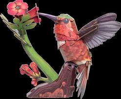 MakeBug 3D popierinė dėlionė Kolibris MB-D-0058