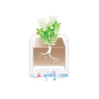 plastikiniai ratukai - Deroma Granitas vazonas su vandens rezervuaru ir ratukais, 99 cm, ruda sp. (Brown) - 2 nuotrauka