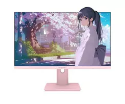 rozinis monitorius - JAPANNEXT JN-I238FHD120F-HSP-PK 23.8", IPS, FHD, rožinis (pink) - 3 nuotrauka