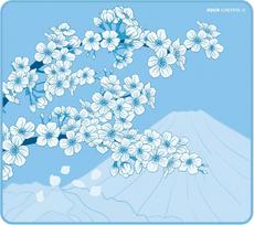 X-RAYPAD Aqua Control II Sakura Blue (Mėlyna) XL