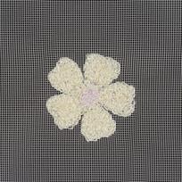 naktines baltos uzuolaido - Eurofirany FIR/ELSA/B+ŻÓŁ 140X250 PRZEL - 6 nuotrauka
